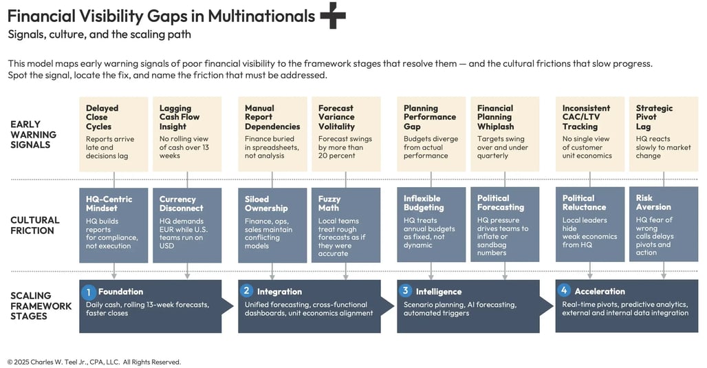 teel-financial-visibility-gaps-in-multinationals