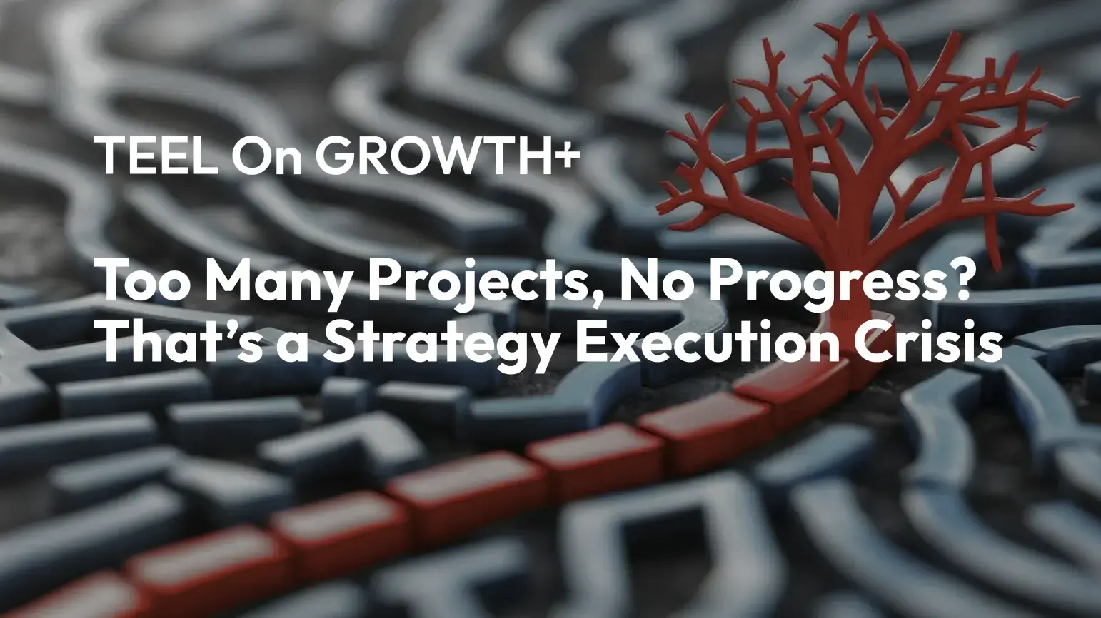 teel-too-many-projects-strategy-execution-crisis